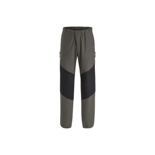 Arcteryx Paltz Cargo Pant Pant