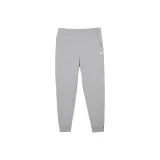 Silver Gray