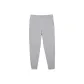 Silver Gray