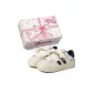Beige Blue with Small Flower (Box)