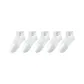 5 Pack (G-White C*5)