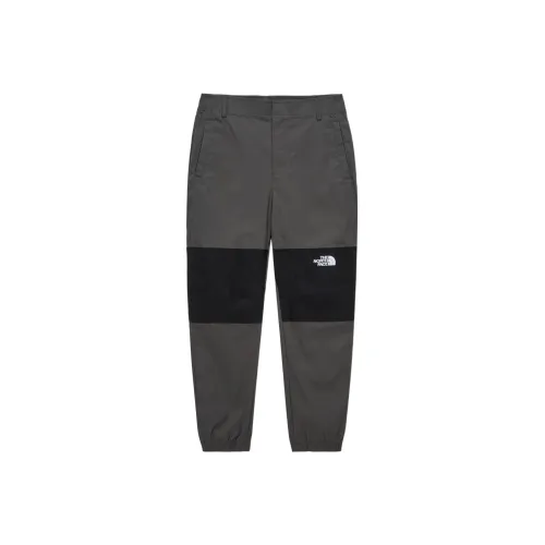 THE NORTH FACE Casual Pants Men Gray