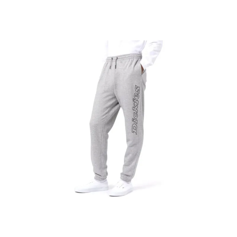 Dickies Casual Pants Men's Gray-0
