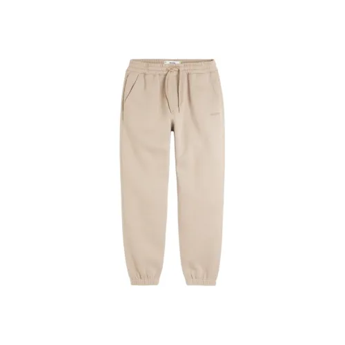Hollister Knitted Sports Pants Men's Light Brown