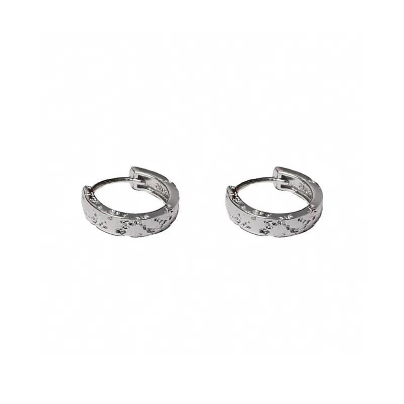 OGDAID S925 Silver Earrings Men's-4