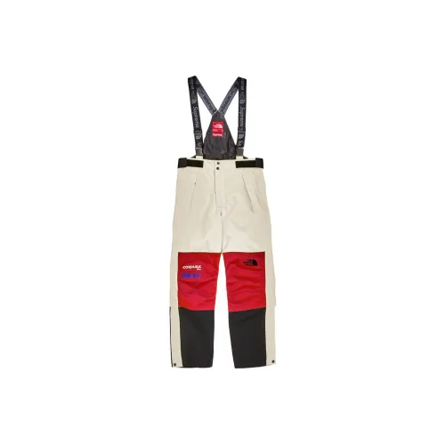 Supreme The North Face Expedition Pant