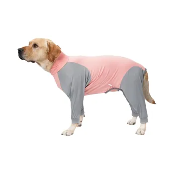 A good thing Pet Clothing