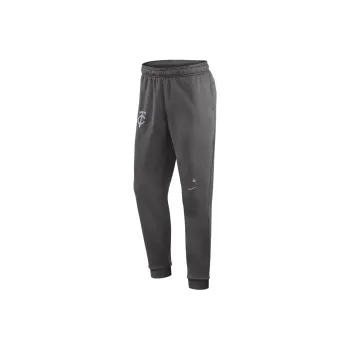Nike Minnesota Twins Travel Player Knitted Sports Pants Men's Gray