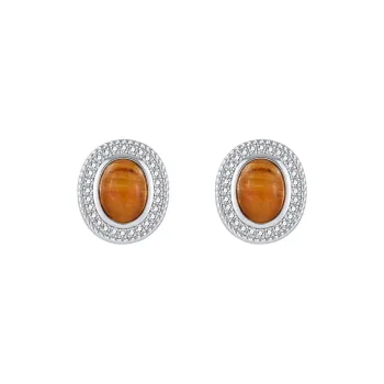 YPYN S925 Silver Stud Earrings Women's Brown
