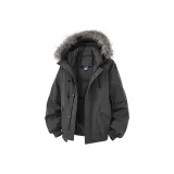 Gray, Detachable Collar