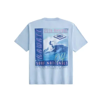 Hollister T Shirt Men's Light Blue