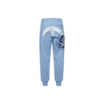 EVISU Casual Pants Men Gray Blue