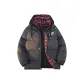 Gray with Black Hood