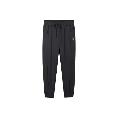 CAMEL Urban Function Series Knitted Sports Pants Men's
