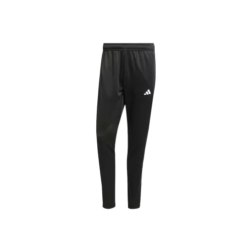 Adidas Free Shipping With AdiClub Train Essentials Camo Training Pants