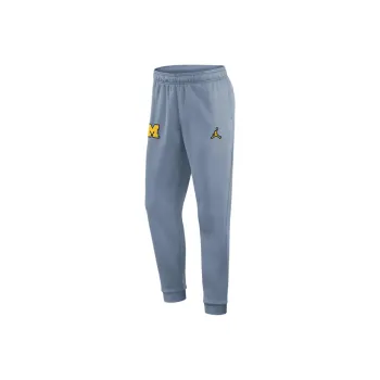 Nike Dri-Fit CollegeMichigan FW24 Wolverines Sideline Player Knitted Sports Pants Men's Gray Stone