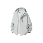 Silver Snow Gray