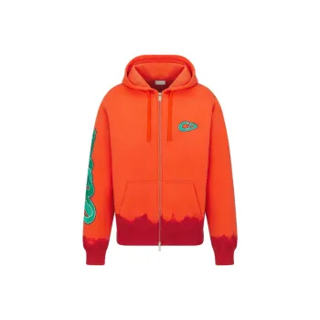 DIOR X Kaws Hooded Sweatshirt