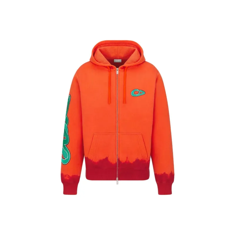 DIOR X Kaws Hooded Sweatshirt-0