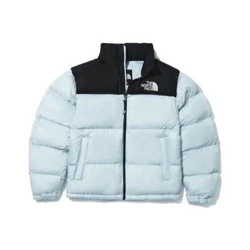 THE NORTH FACE Nuptse HYBRID DOWN BALL JACKET Unisex Ether Blue