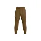Coyote Earth Tone