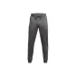 Rhinoceros Gray