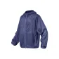 Blue Purple