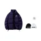 Dark Purple with A Trendy Hat Included