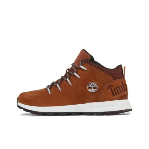Timberland Sprint Trekker Ankle Boots Men's Brown