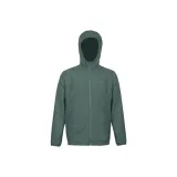 Spruce Green