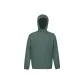 Spruce Green