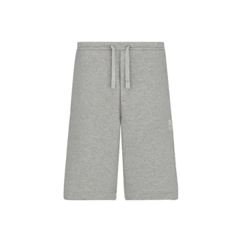 DIOR SS22 Casual Shorts Men's Gray