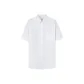 White-00-ESSG09935012