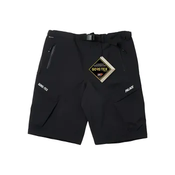 PALACE GORE TEX R Tek Cargo Short