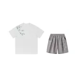 White T+Light Gray (Chinoiserie 2 Pcs Set)