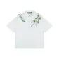 Ivory White
