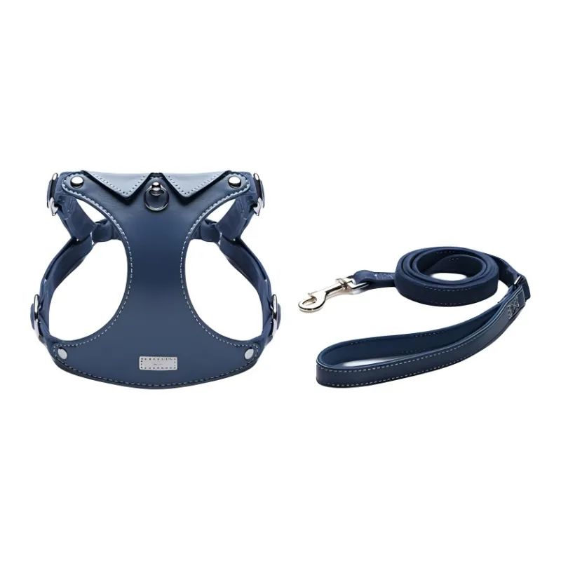 UFBemo Leashes-2