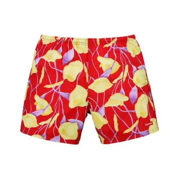 Supreme Nylon Water Short