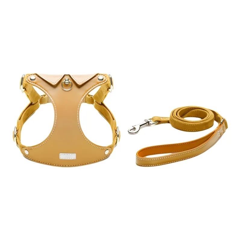 UFBemo Leashes-1