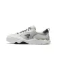 White/Antarctic Gray-BC