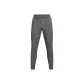 Rhinoceros Gray