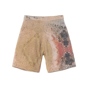 Stussy Wings Print Knit Short