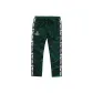 Green GDZ