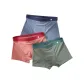 Pale Green+Brier Red+Charcoal Blue