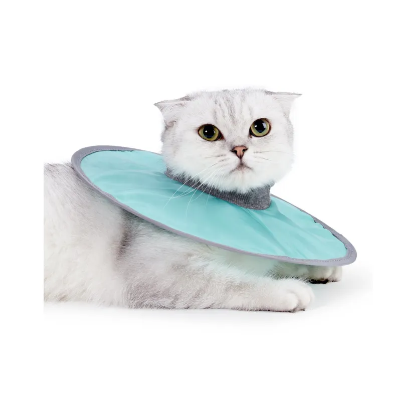 A good thing Dog / Cat Collars-4