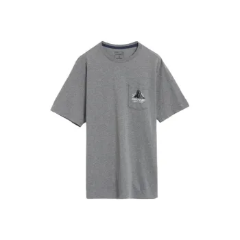 Patagonia T Shirts Men Gray
