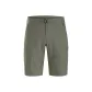 Dusty Green/Forage