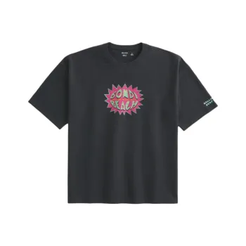 Hollister T Shirt Men's Dark Gray