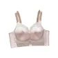 Taro Pink