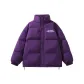 Dark Purple